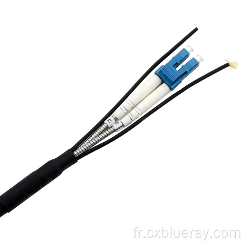 DLC-DLC Armored Patchcord IP67 Connecteur imperméable